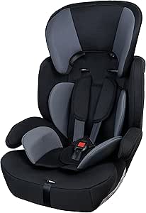 Cadeira de segurança Styll Baby DRC-29.289-41 9 a 36 kg para carro